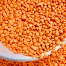 Mushur Dal-25kg Bulk